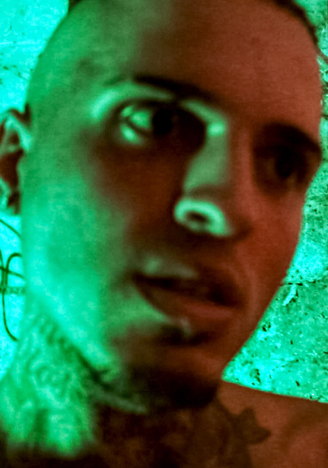 Leo Rex